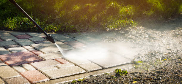 Best Playground Equipment Cleaning  in Fulton, MS